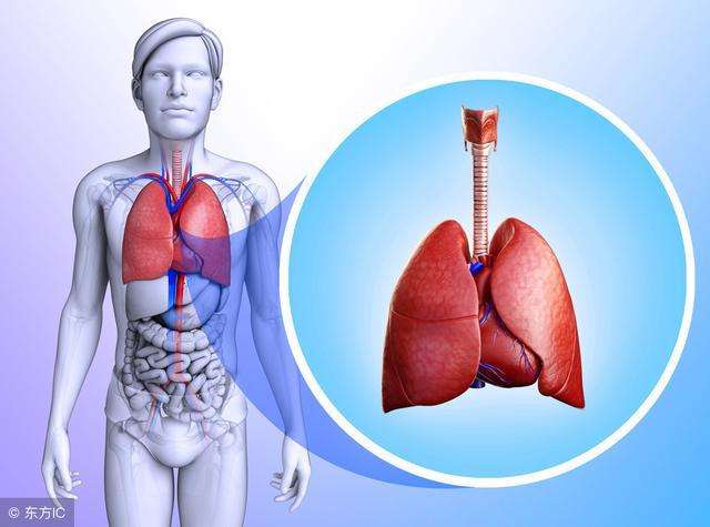 冬虫夏草作用：肺有问题的人，睡觉时会有3种异常！