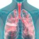 肺的好坏直接影响身体年龄，冬季养肺食谱推荐给您！
