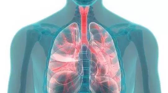肺的好坏直接影响身体年龄，冬季养肺食谱推荐给您！